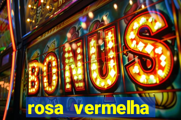 rosa vermelha (letra e cifra)